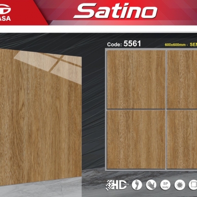 Gạch lát nền KT 60x60 Tasa 5561