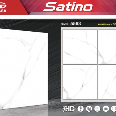Gạch lát nền KT 60x60  Tasa 5563