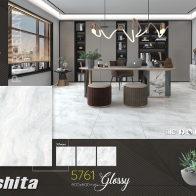 Gạch lát nền KT 60x60  Tasa 5761