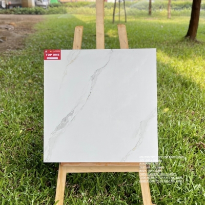 Gạch lát nền KT 60x60  Tasa 5767