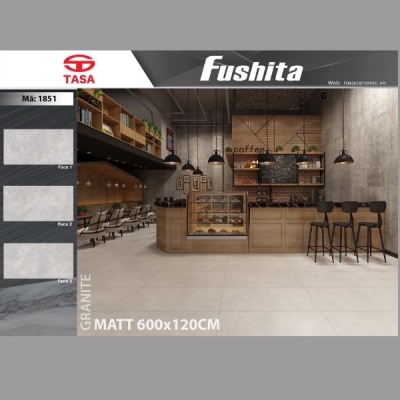 Gạch ốp lát cao cấp đá mờ KT 60x120 Tasa 1851